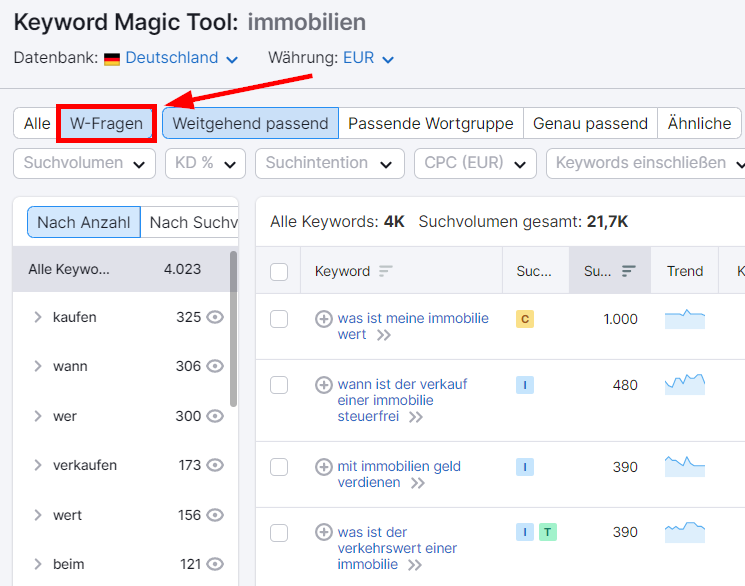 Option 'W-Fragen' im Keyword Magic Tool