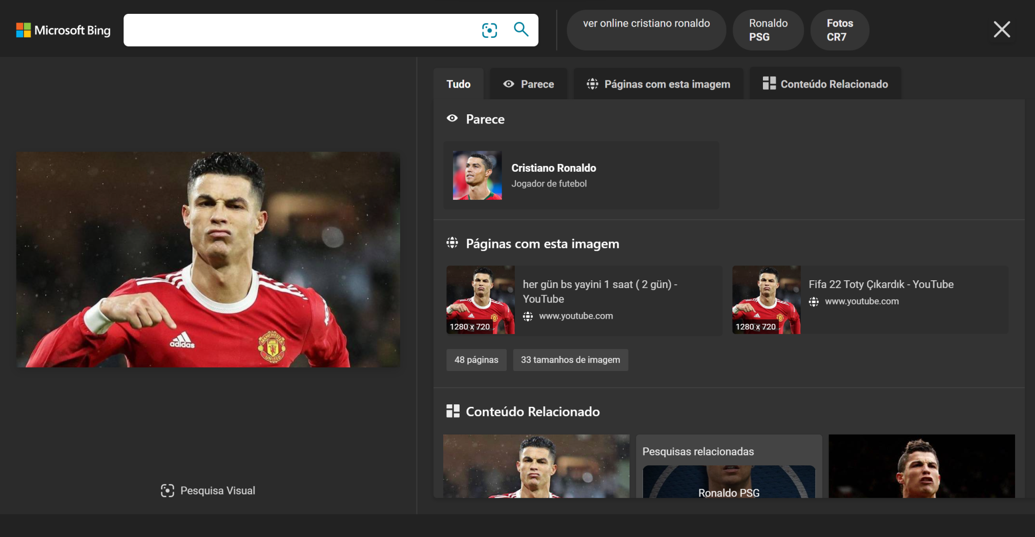 pesquisa reversa de imagens - página de resultados da pesquisa visual do bing