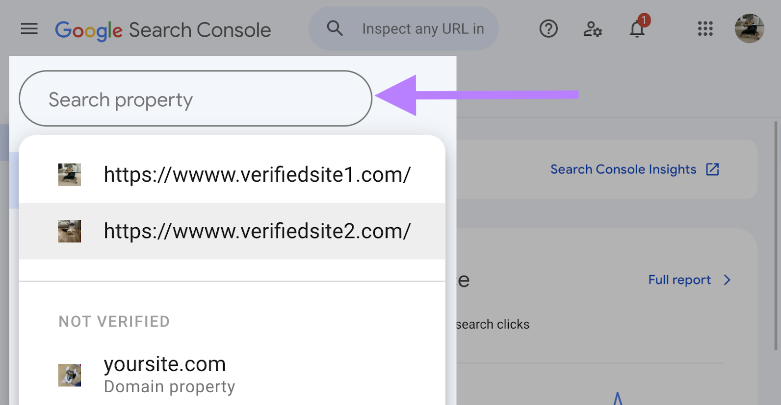 In Google Search Console, verified and not verified properties are shown.