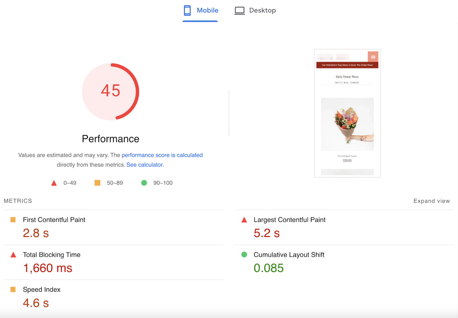 mobile website overview in PageSpeed Insights