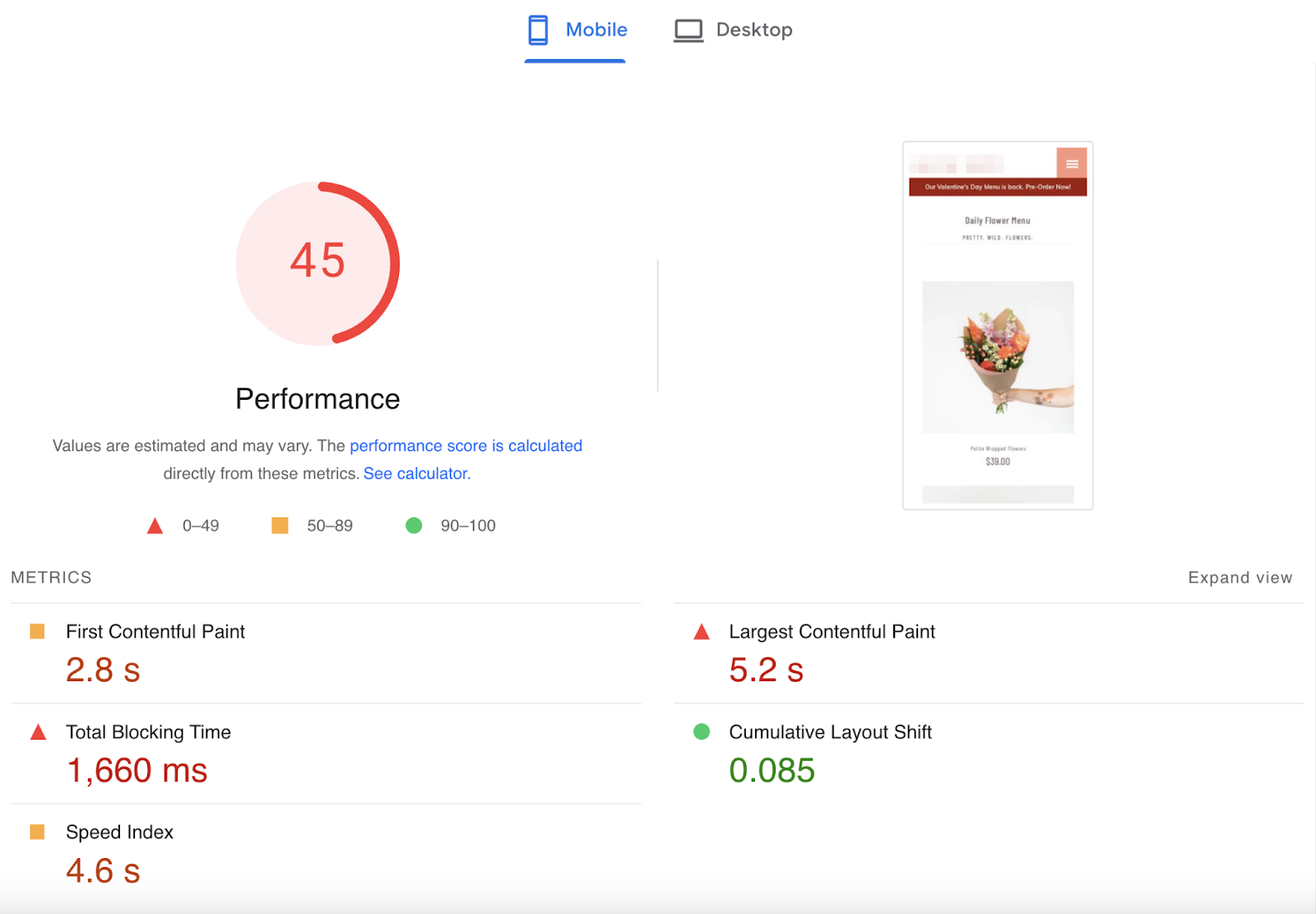 mobile website overview successful  PageSpeed Insights