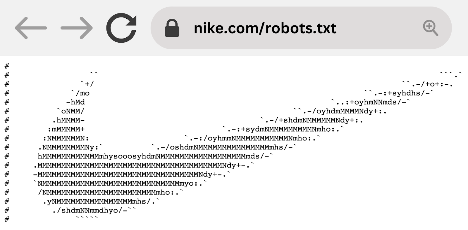 Nike's robots.txt example