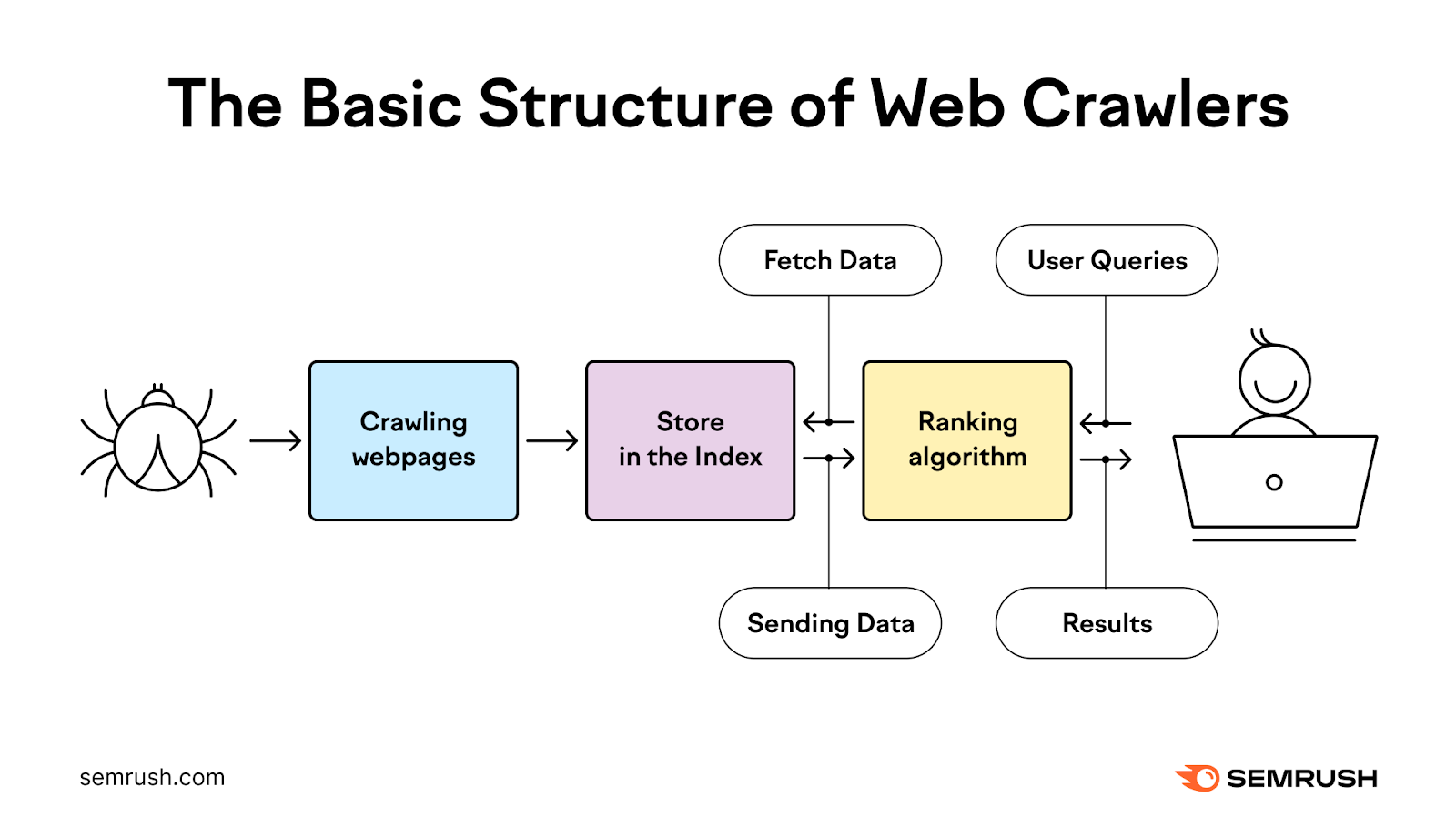 The basic structure of web crawlers includes crawling webpages, index storing, and ranking algorithm, among others.