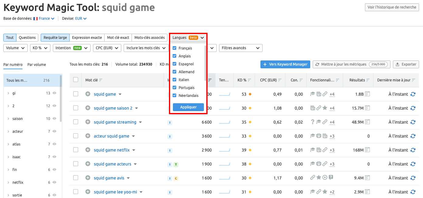 Filtre langue Keyword Magic Tool