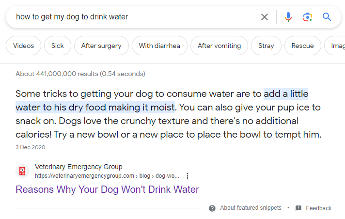 first results on Google for “How to get my dog to drink water?” query shows a page from Veterinary Emergency Group on “Reasons Why Your Dog Won’t Drink Water”