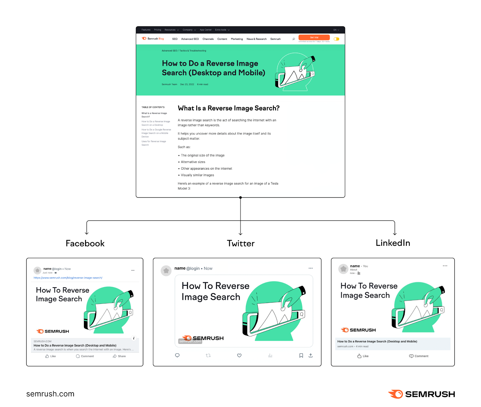 An infographic showing an article from Semrush on top, and how it would look like when shared on Facebook, Twitter and LinkedIn