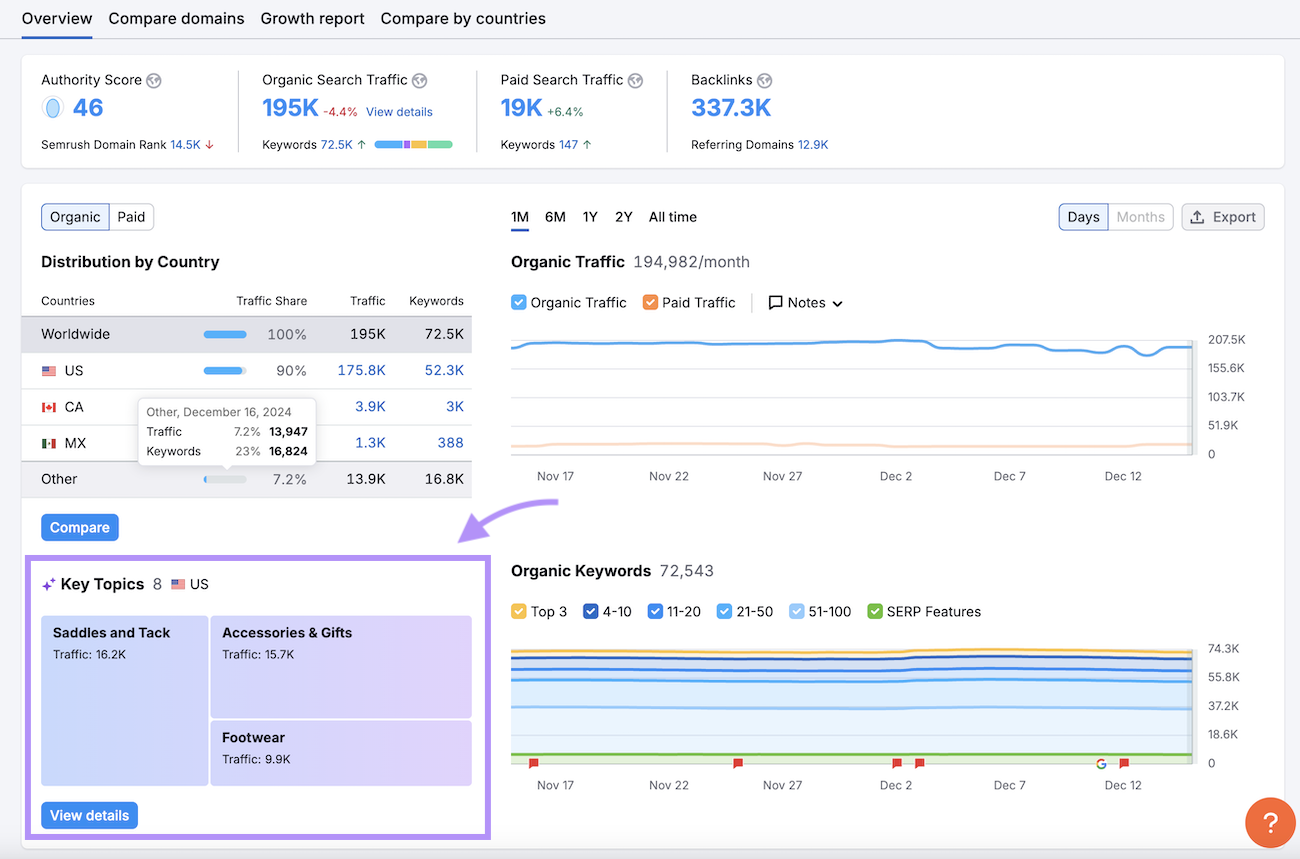 Topics Report preview