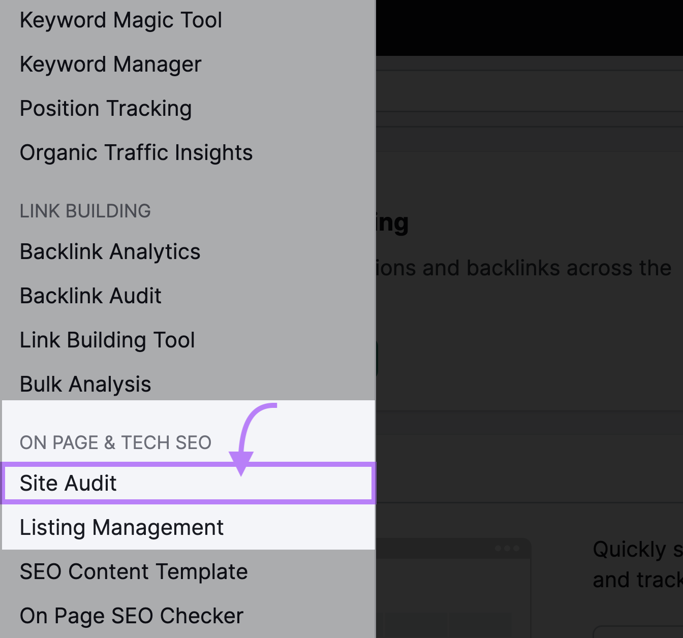 “Site Audit” button highlighted in the menu