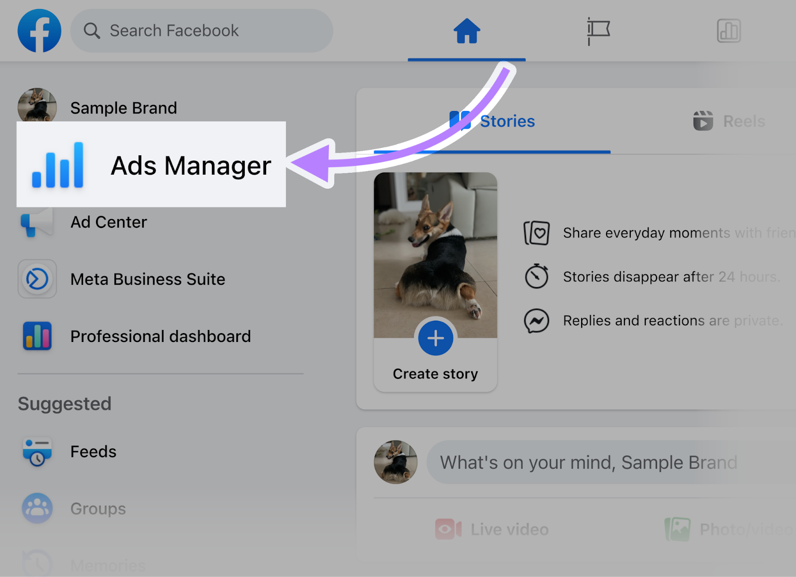 “Ads Manager” button highlighted in Facebook analytics