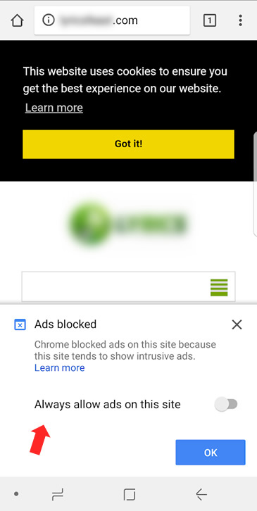 Page experience Ads blocked example