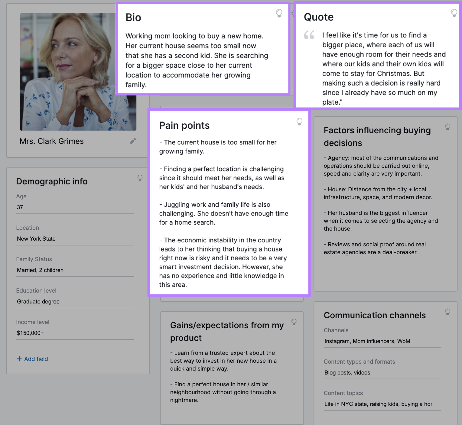 "Bio, Quote and Pain points" sections in a customer profile