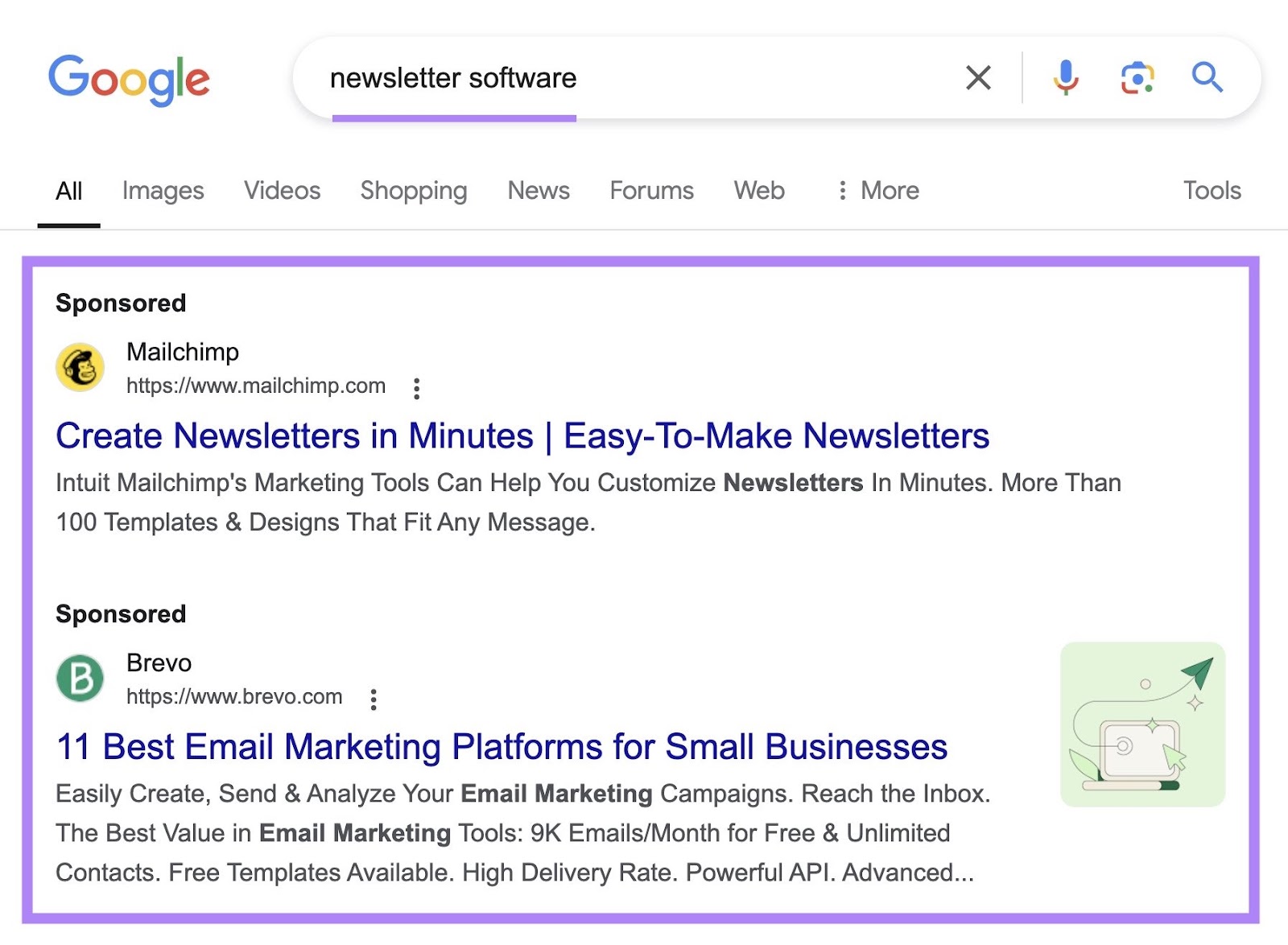 Google SERP with the term "newsletter software" entered and two sponsored results at the top highlighted.