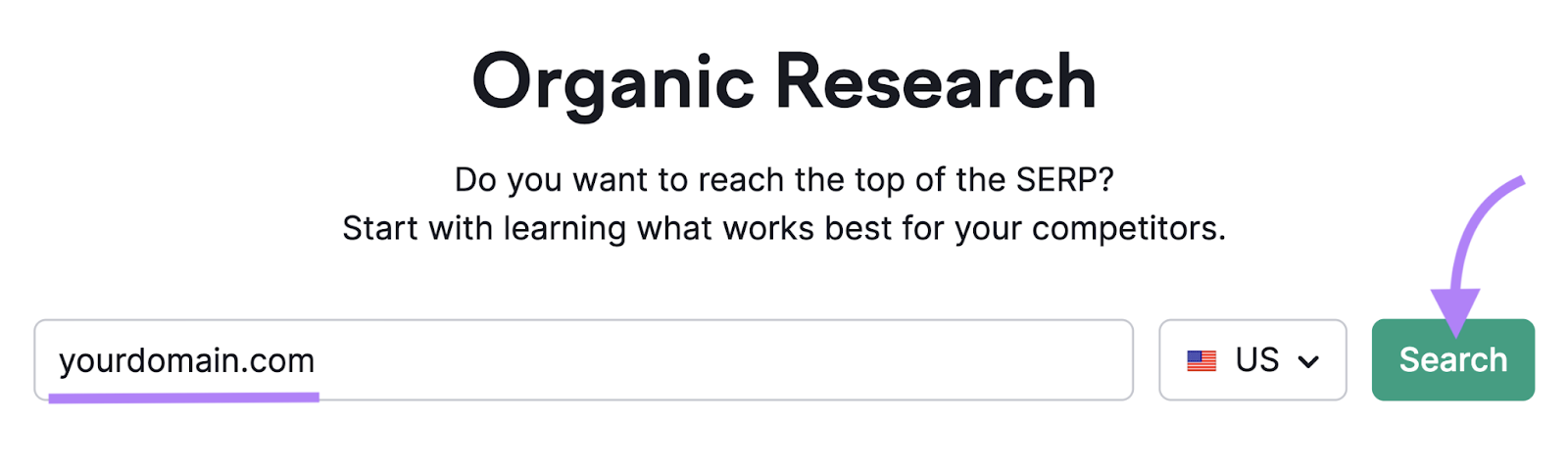 Enter a domain in Organic Research tool