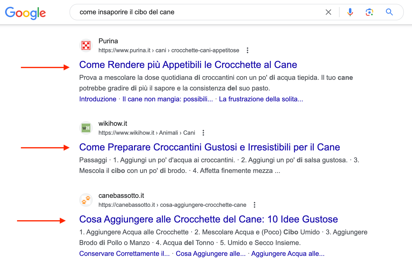 Esempio di una SERP di Google