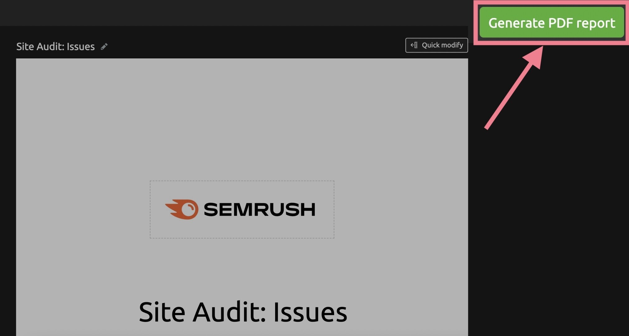 generate pdf site audit issues report