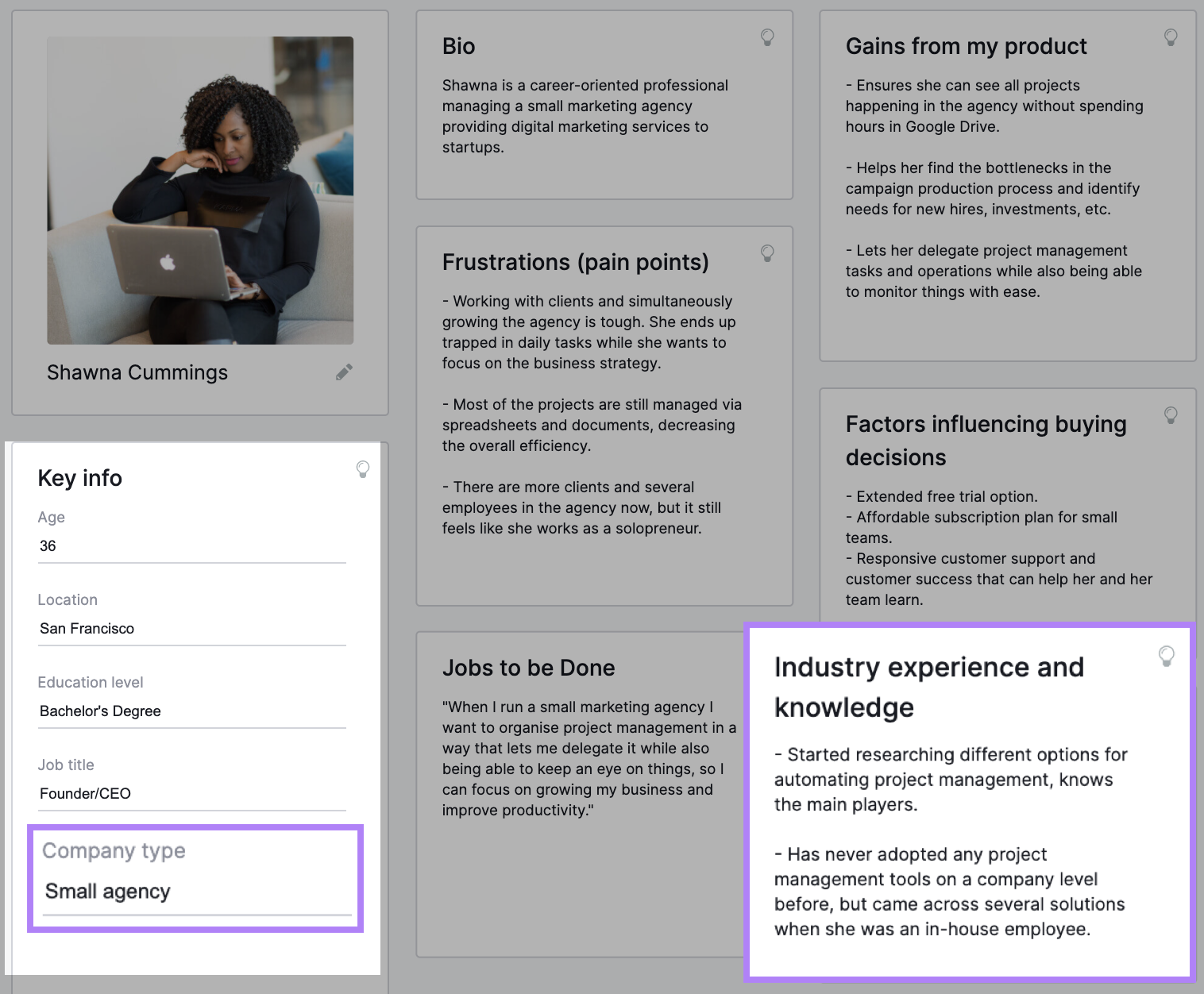 "Industry experience and knowledge" section highlighted in a B2B customer profile template