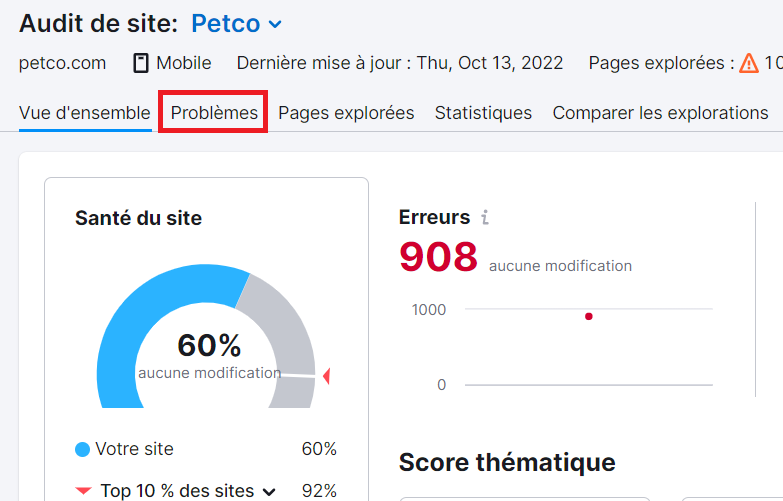 Audit de site, onglet Problèmes