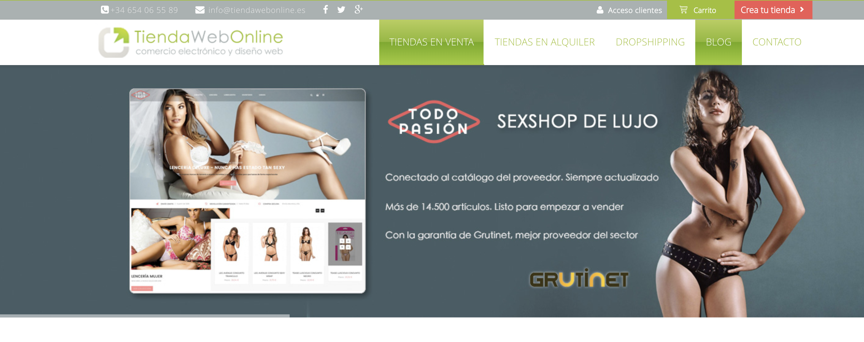 SEO para dropshipping - tiendawebonline.es