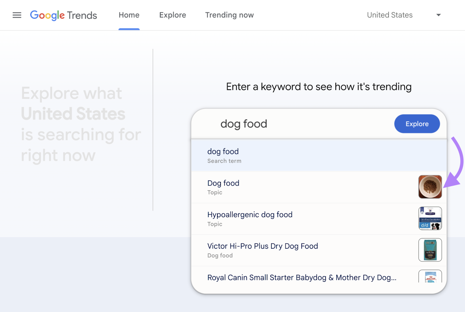 Searching for "dog food" keyword implicit    the past   30 days successful  Google Trends