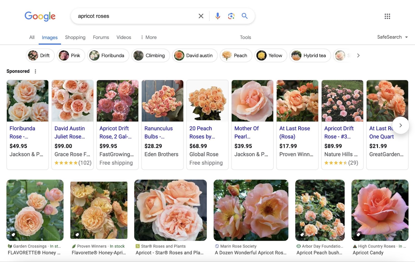 google image results for "apricot roses" shows images pulled from various sites.