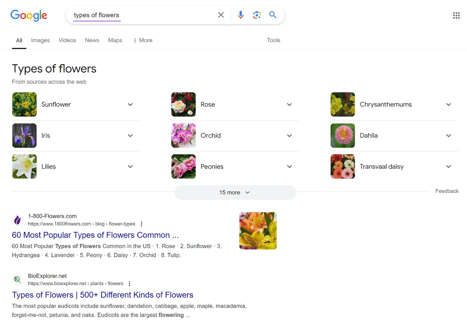 Google Search Engine Results Page for the "types of flowers" keyword showing educational content in the SERP area.