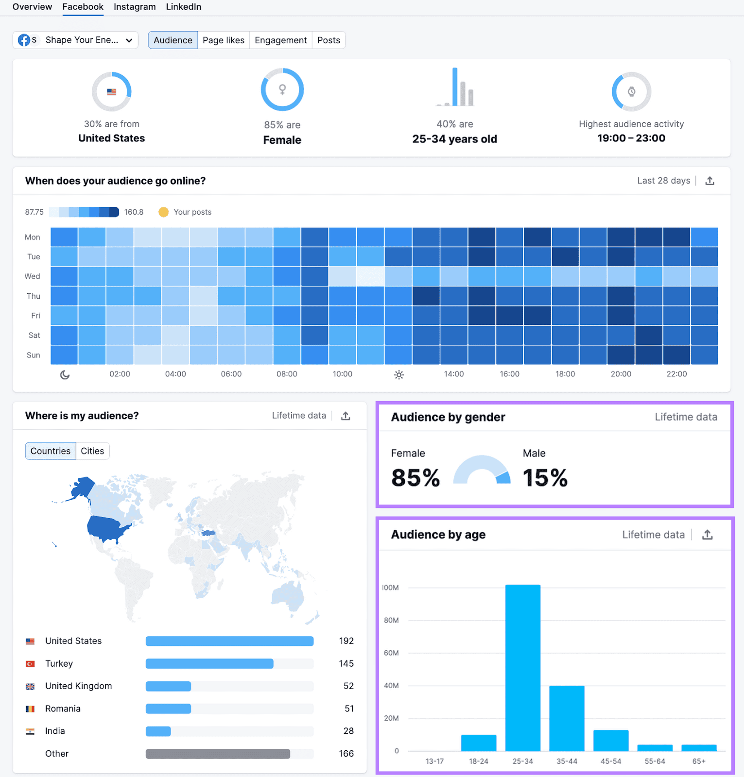 Social Analytics "Facebook" dashboard showing charts for audience gender and age distribution, displayed in purple boxes