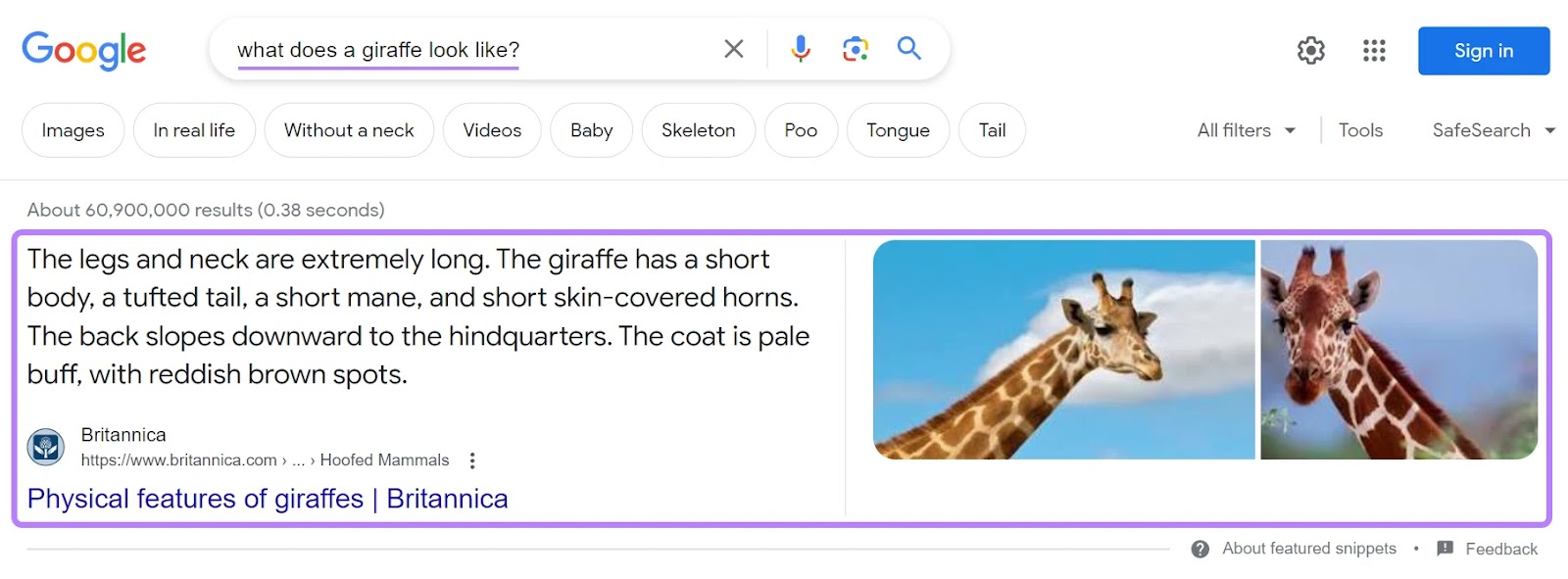 A featured snippet connected  Google's SERP for "what does a giraffe look   like" query