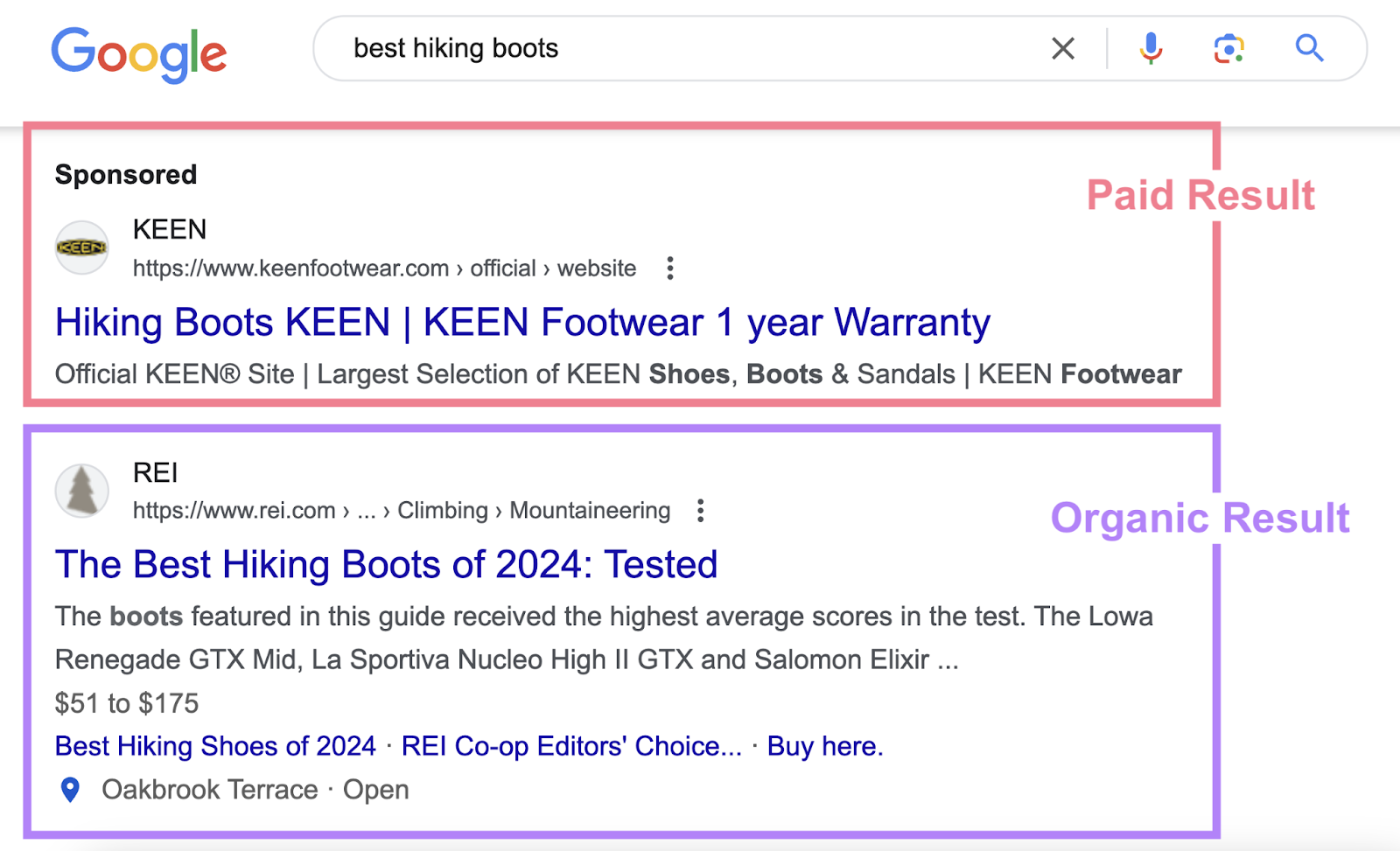 Paid results are labeled with a bolded sponsored label in the SERP while organic results do not have this label.