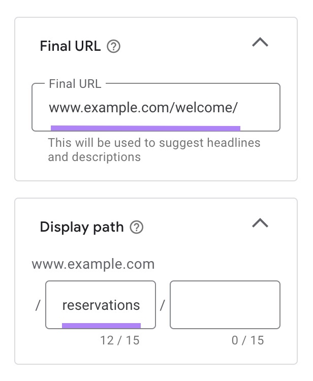 Ads section to enter the destination URL and display path for a Google ad.