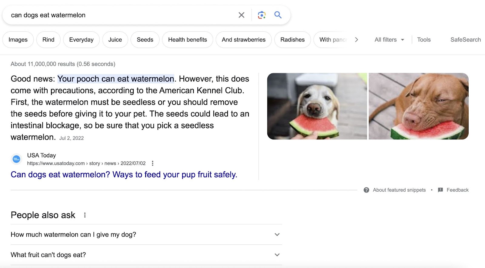 Google SERP preview for "can dogs eat watermelon"