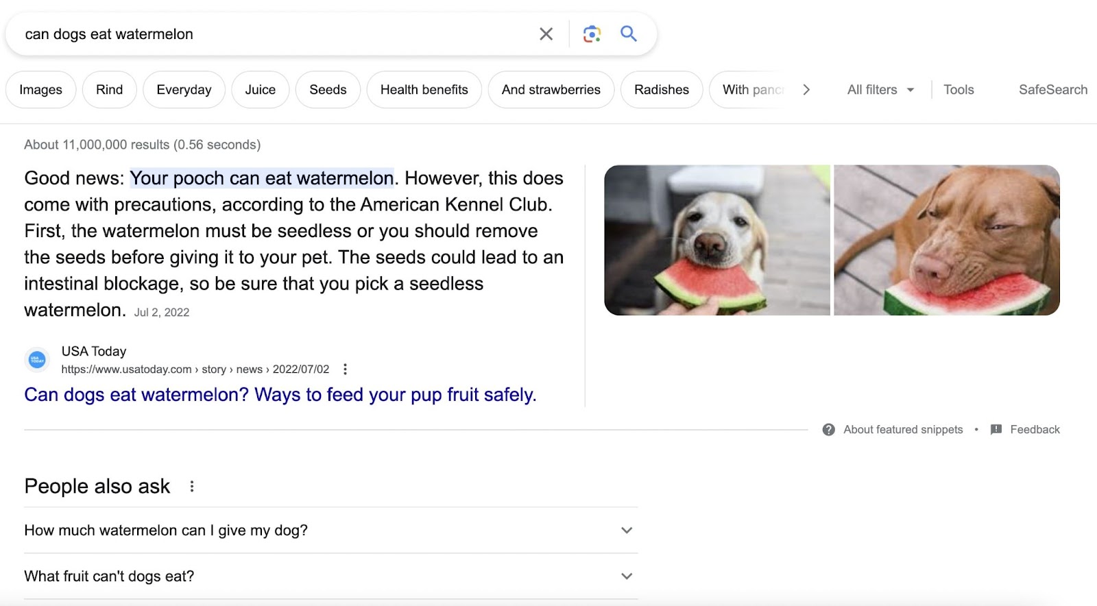 Bản xem trước SERP của Google cho "chó có ăn được dưa hấu không"
