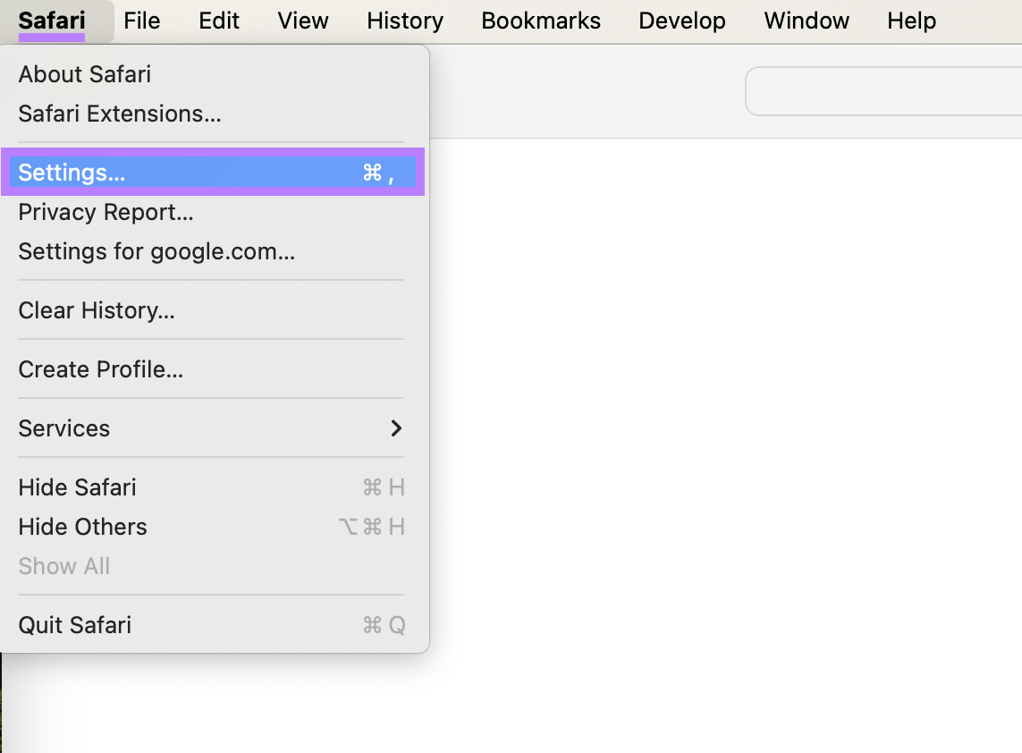 Safari paper   expanded and Settings enactment    highlighted.