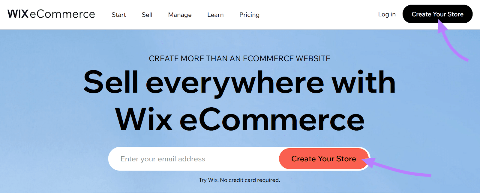"Create Your Store" CTA highlighted on Wix