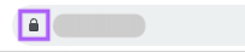 The lock icon in the address bar