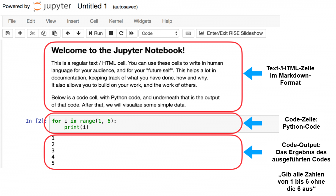 Code- und Markdown-Zellen in Jupyter Notebook