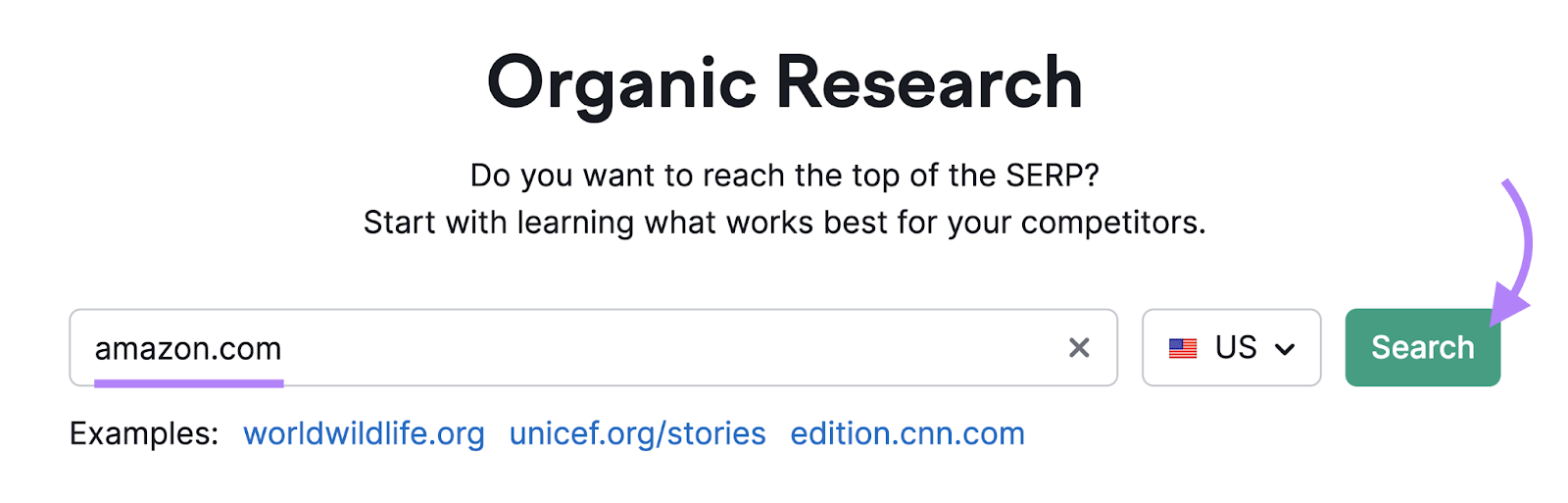 search for amazon.com in organic research tool