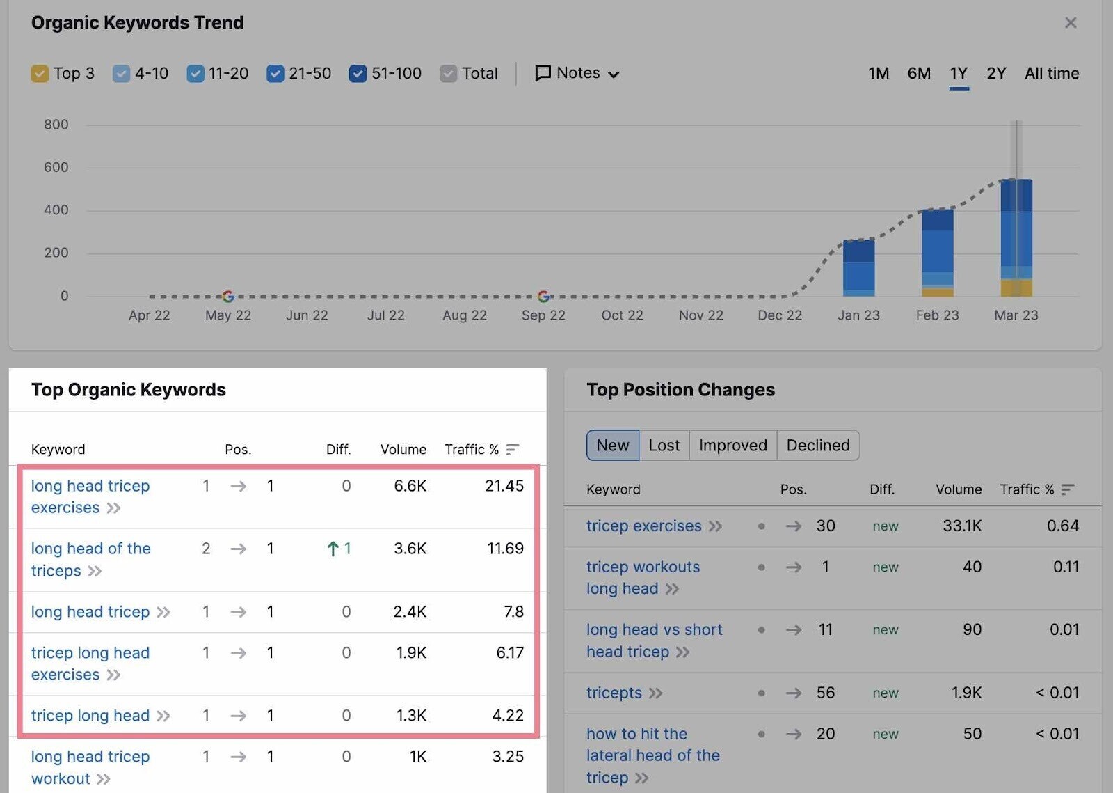 Abschnitt Top Organic Keywords