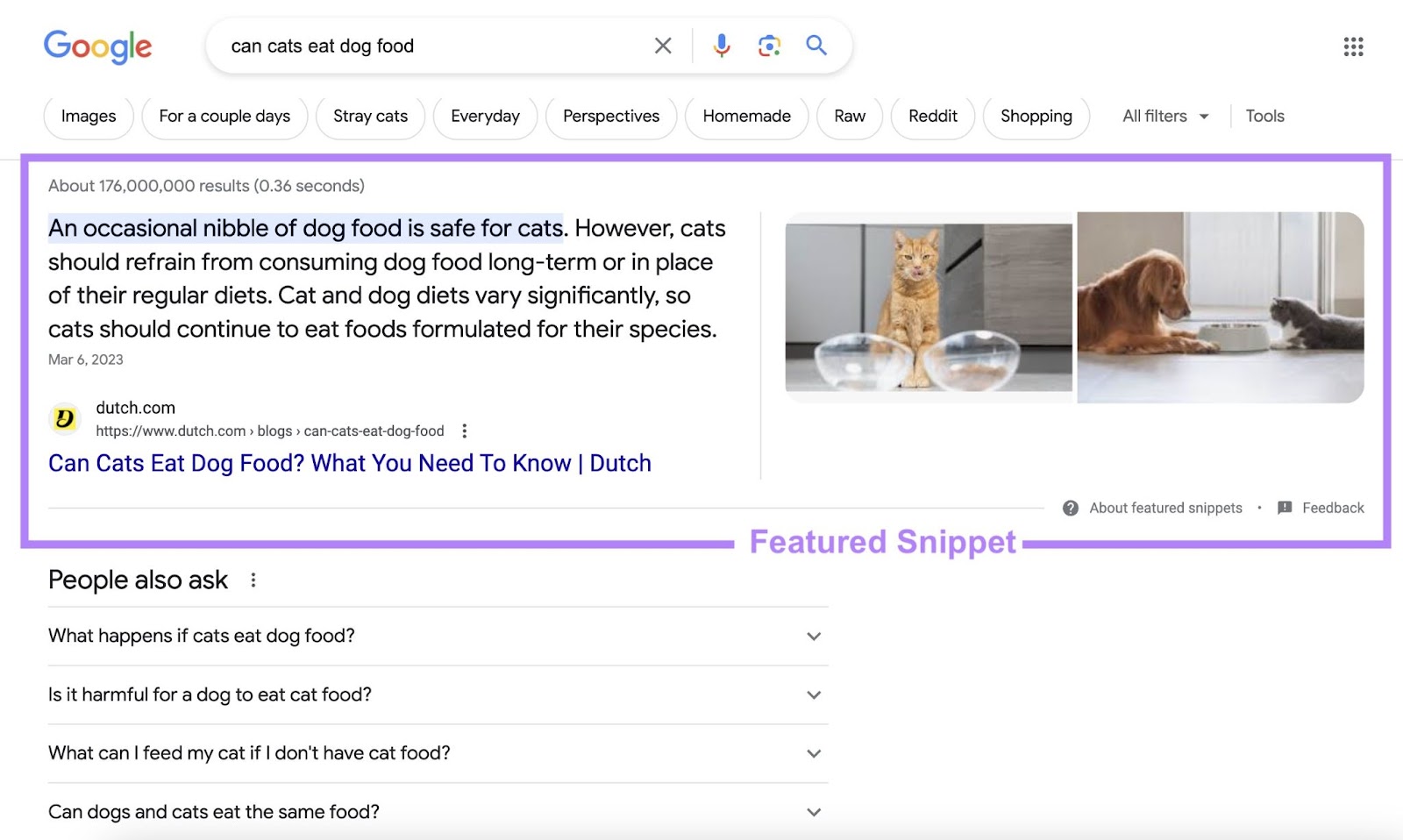 A featured snippet effect   connected  Google SERP for "can cats devour   canine  food" query