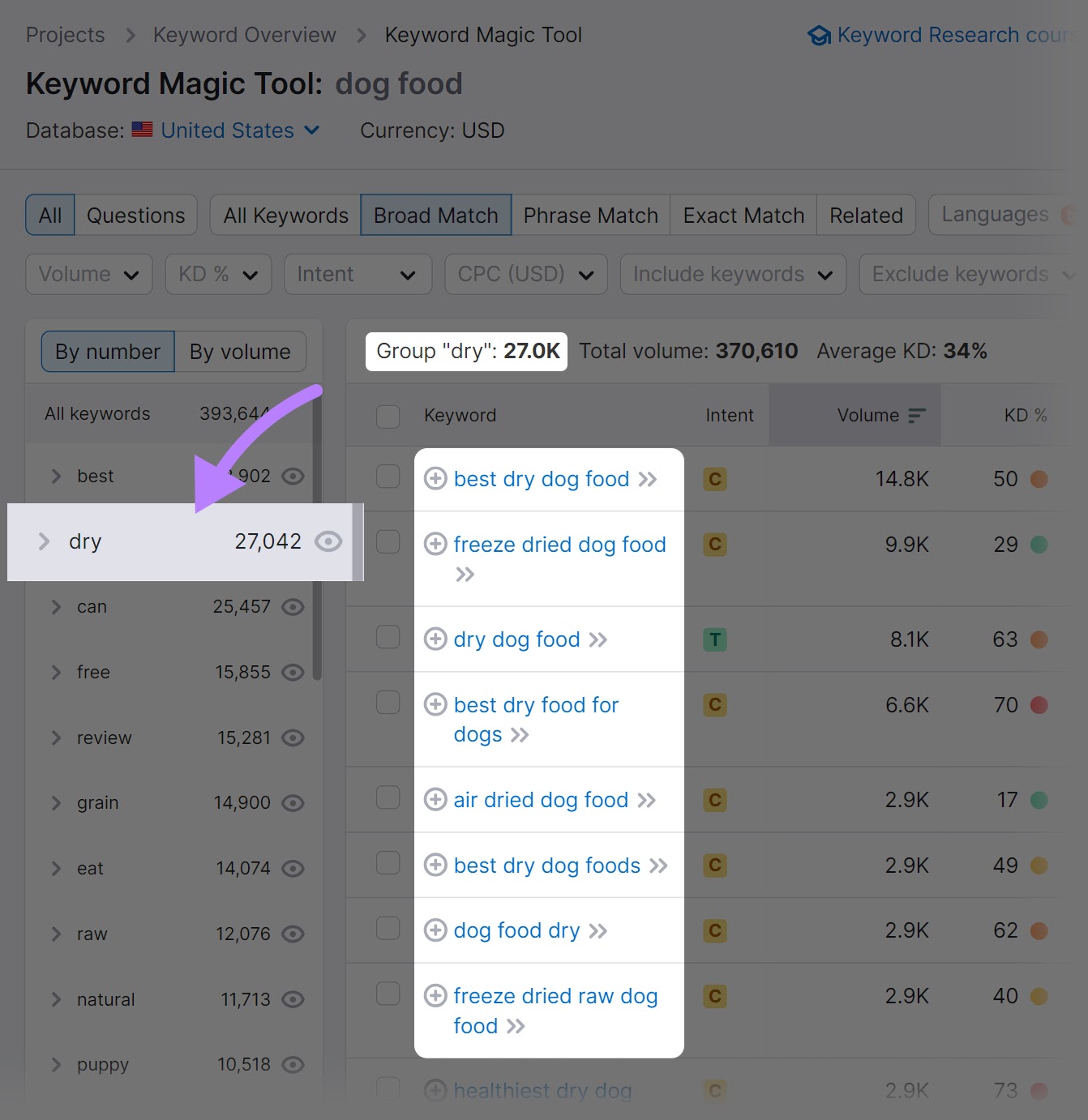 Keyword Magic Tool results for "dog food" with "dry" category selected