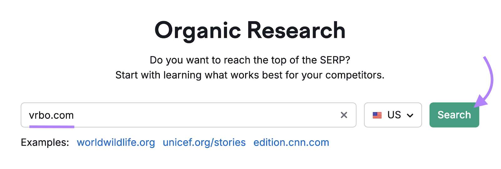 search for competitor in Organic Research tool