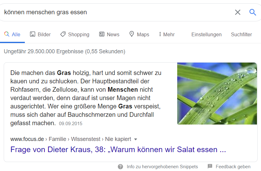 Ein weiteres Antwort-Snippet von Google