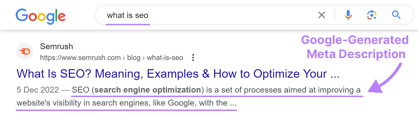 example of google generated meta description