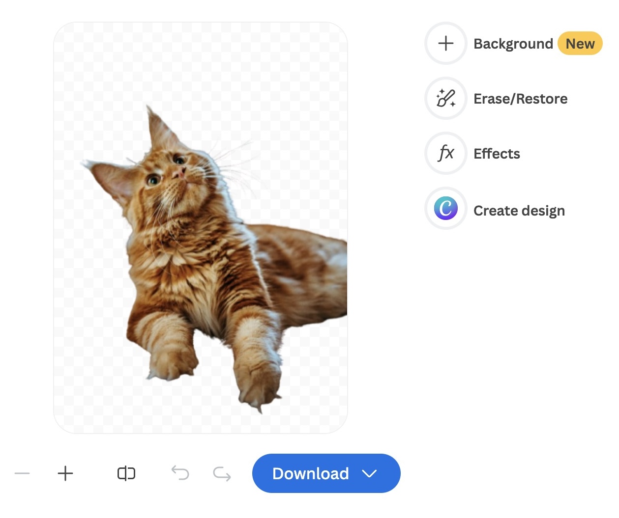 Remove.bg interface with an image of a brown cat with the original background of the image removed.