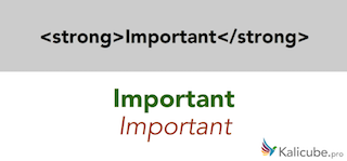 strong-tag-semantic-html5-kalicube.png