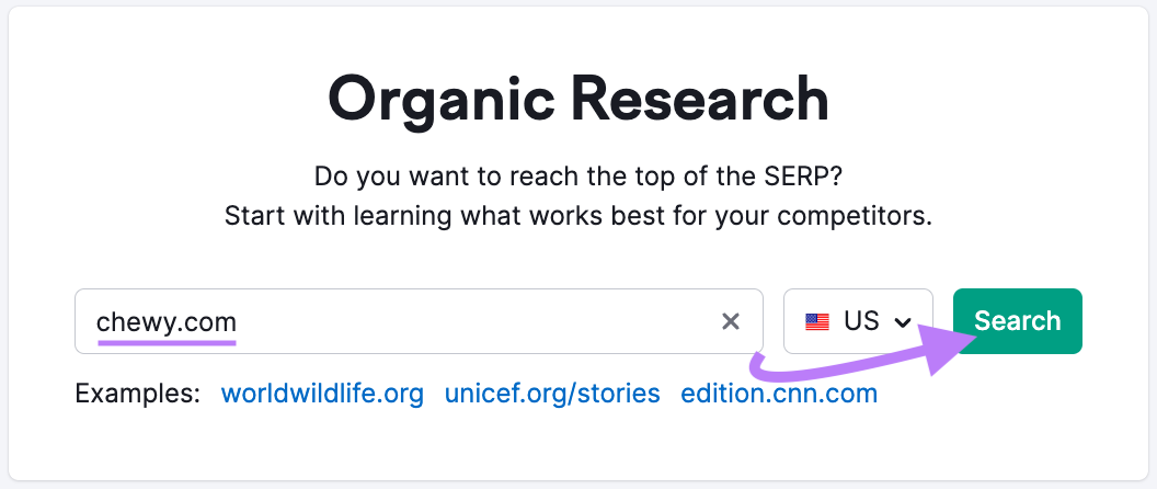 "chewy.com" entered into the Organic Research tool search bar