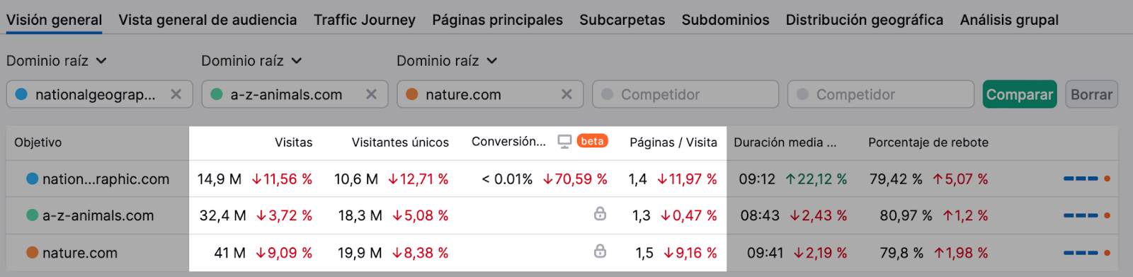 Informe de visión general de Traffic Analytics