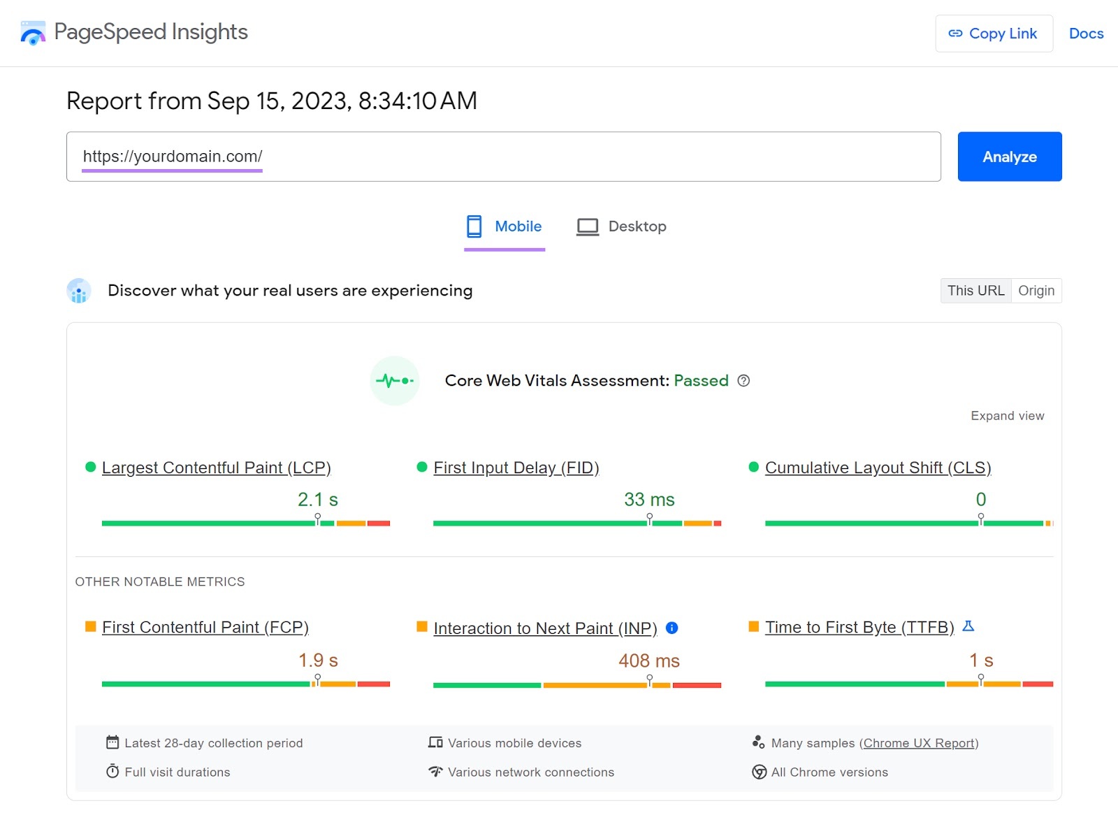 Panel de Google PageSpeed Insights