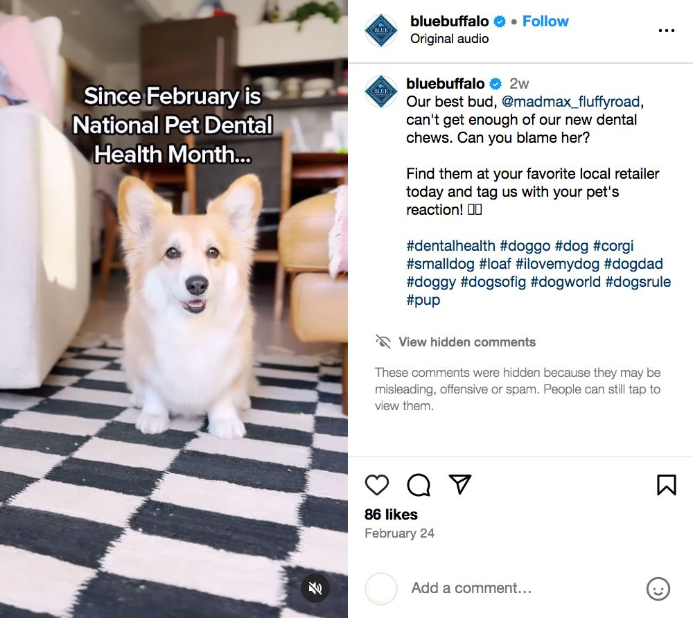 Blue Buffalo's Instagram reel sharing proposal  connected  favored  dental attraction   and promoting their dental chews