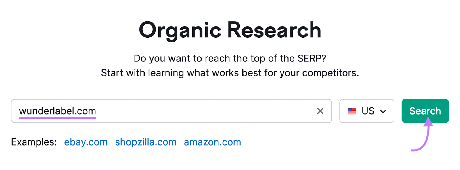 "wunderlabel.com" entered into Organic Research search bar