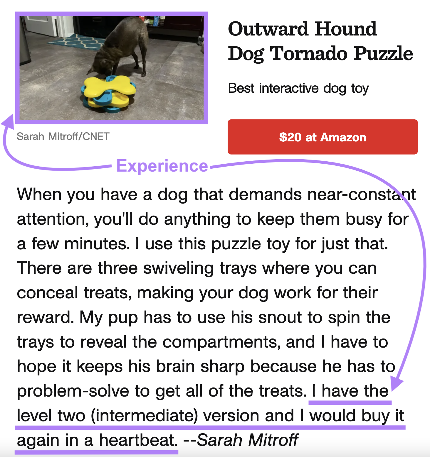 an example of dog article by CNET highlighting experience